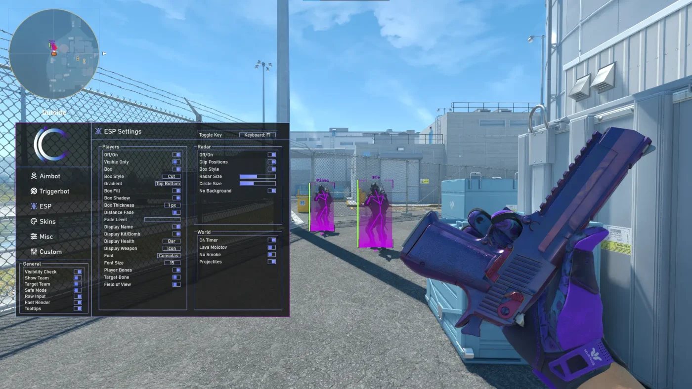 CS2 Wallhacks & ESP Hacks